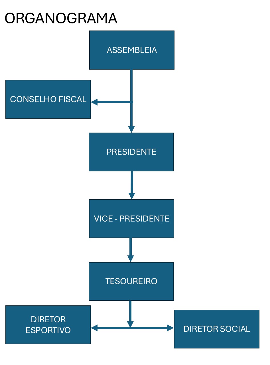 Estrutura e Organograma